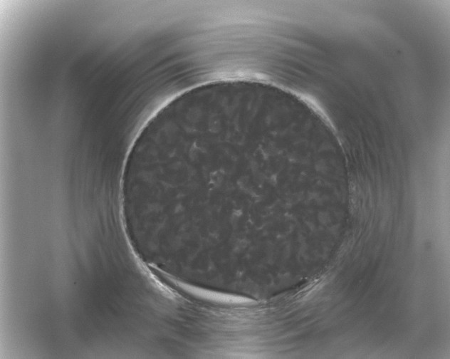 X0000066090895200603131201