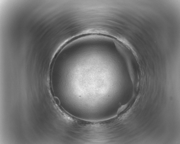 X0000066090896200603131201