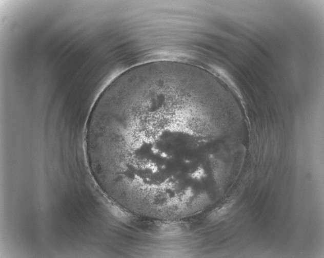 X0000066090899200603131200