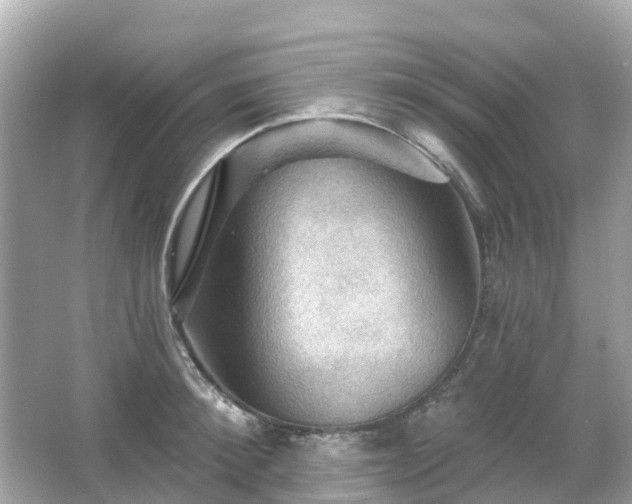 X0000066090900200603131200