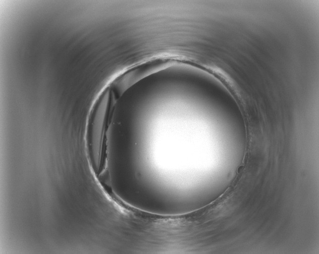 X0000066090902200603131200