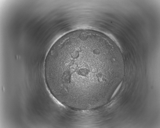 X0000066090903200603131200