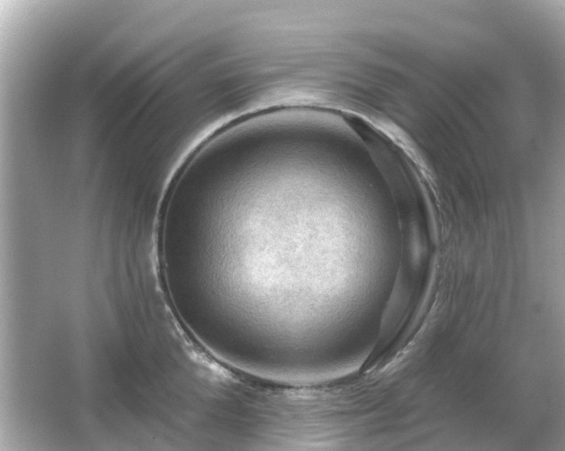 X0000066090904200603131200