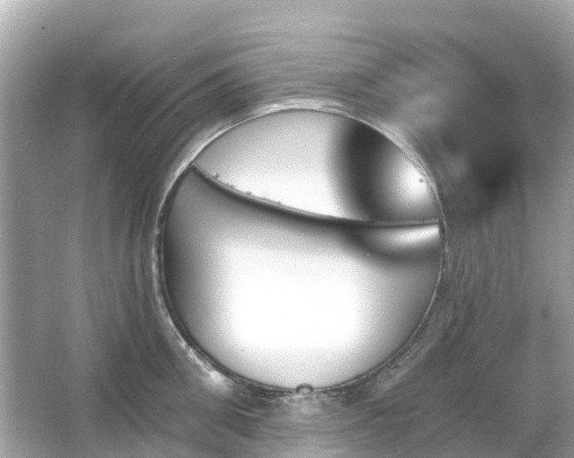 X0000066090906200603131200