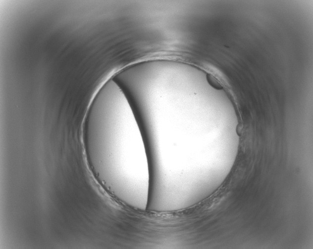 X0000066090907200603131200