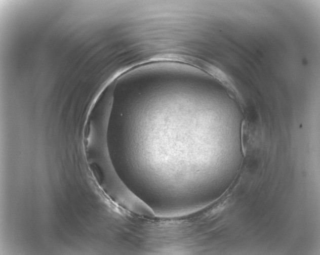 X0000066090908200603131200