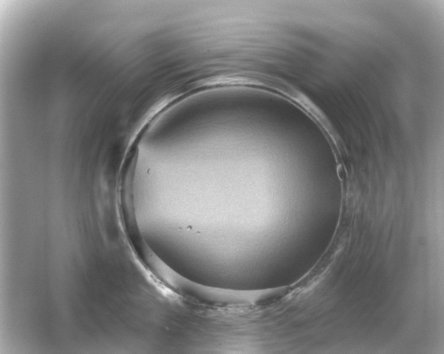 X0000066090909200603131200