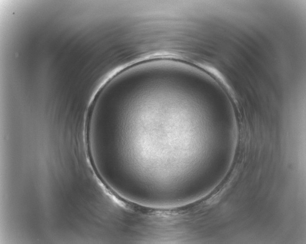 X0000066090910200603131200