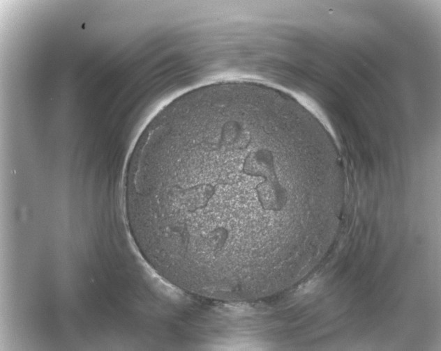 X0000066090911200603131200