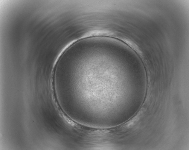 X0000066090912200603131200