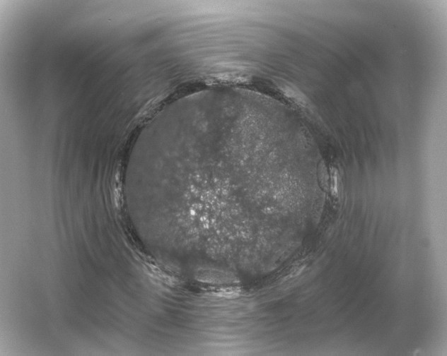 X0000066090915200603131159