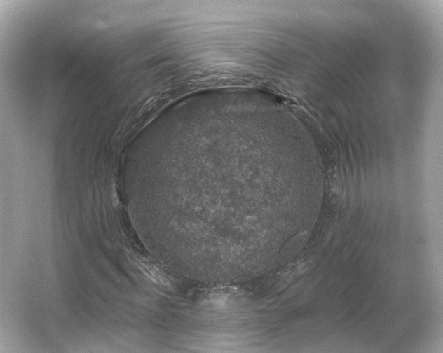 X0000066090916200603131200