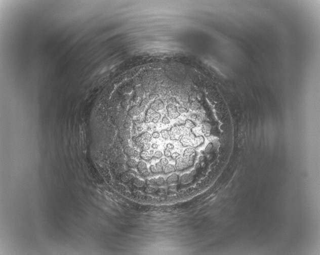 X0000066090917200603131200