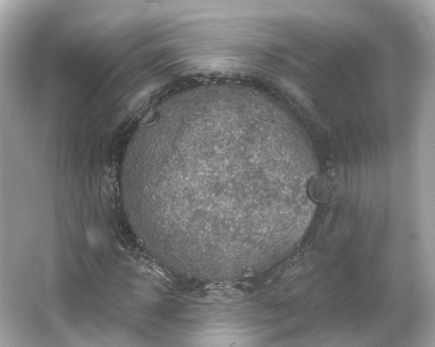 X0000066090918200603131200