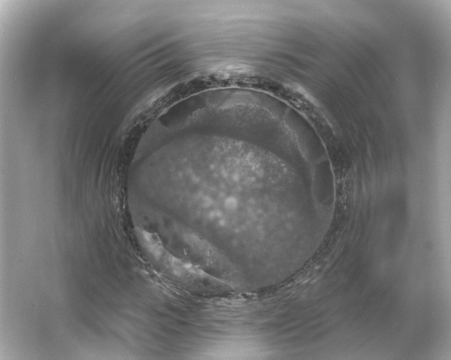 X0000066090919200603131200