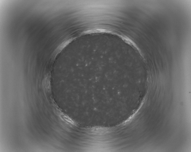 X0000066090921200603131200