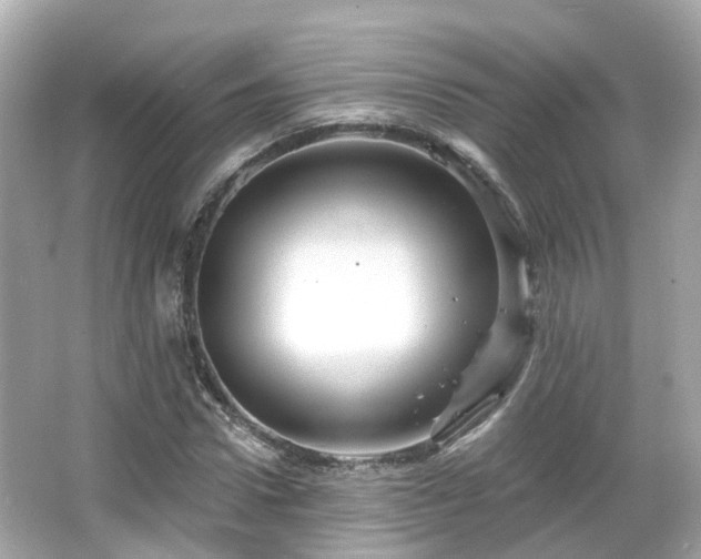 X0000066090922200603131200