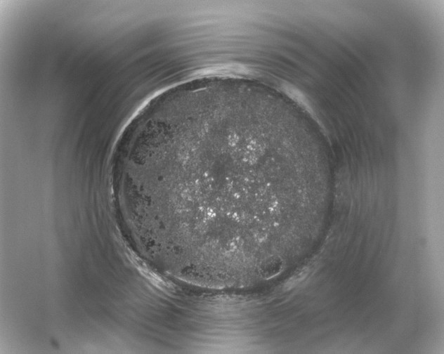 X0000066090923200603131200