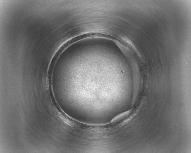 X0000066090924200603131200