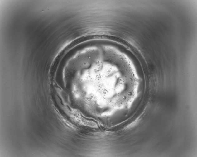 X0000066090925200603131200