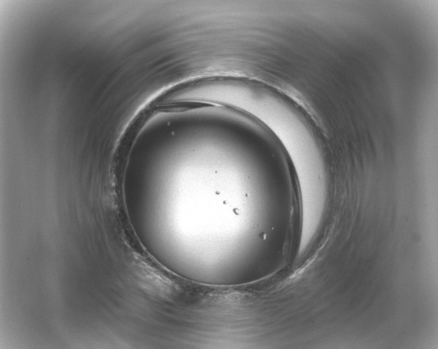 X0000066090926200603131200