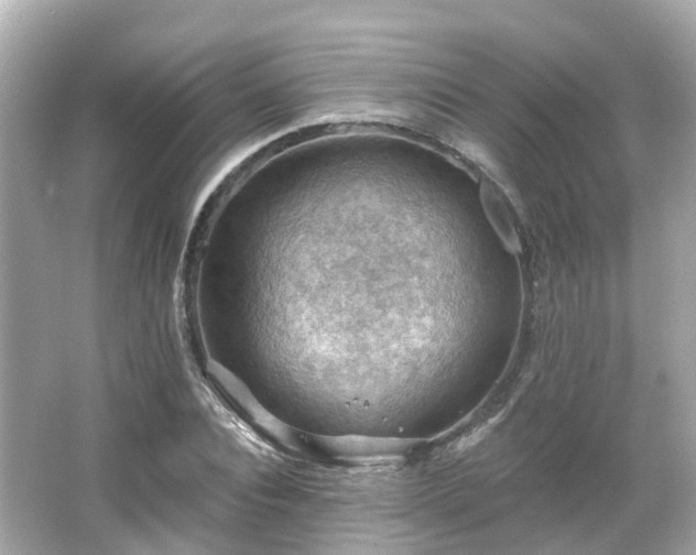 X0000066090928200603131200