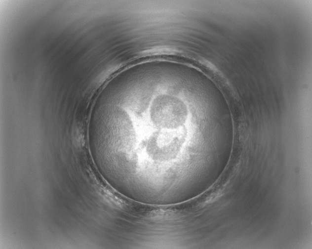 X0000066090929200603131200