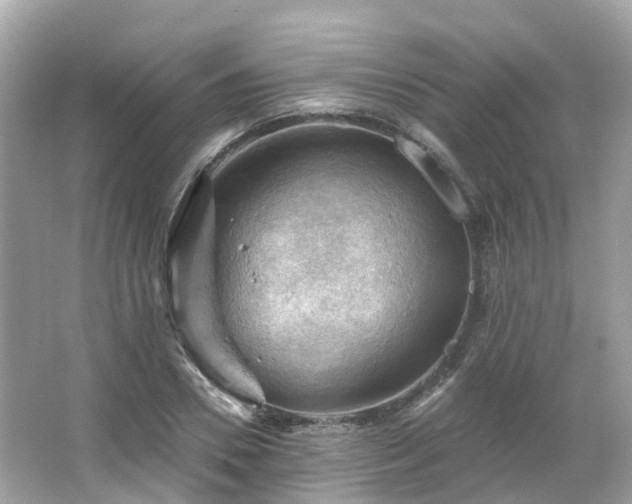 X0000066090930200603131200