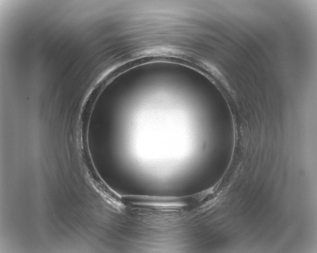 X0000066090931200603131200