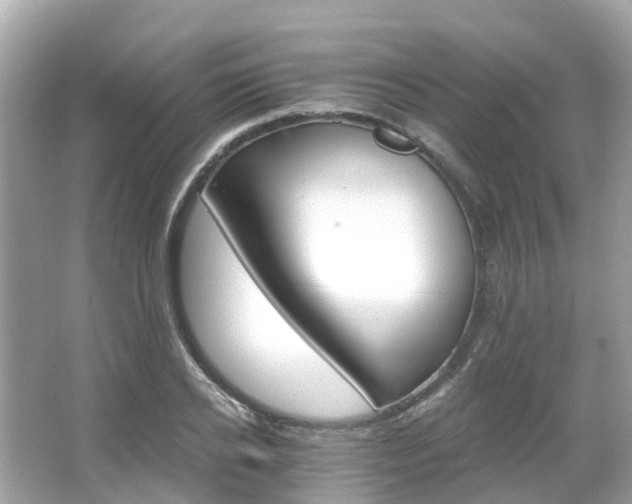 X0000066090934200603131200