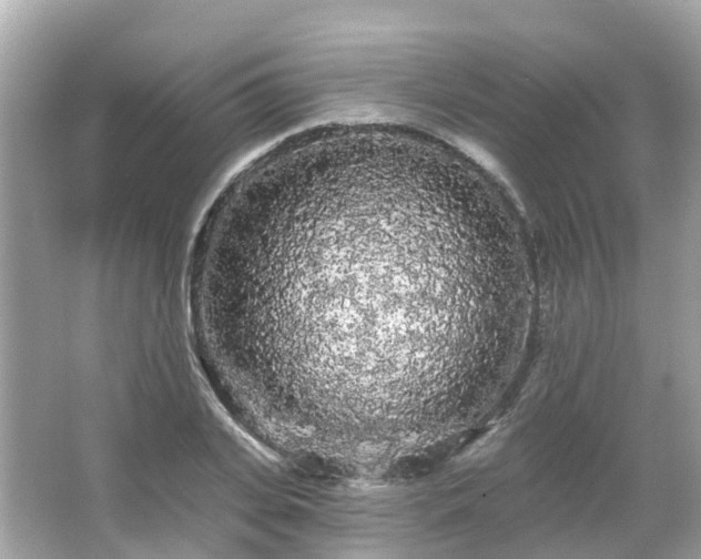 X0000066090935200603131200