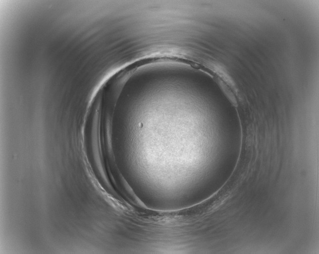 X0000066090936200603131200