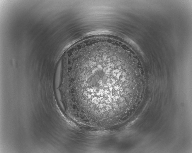 X0000066090937200603131200