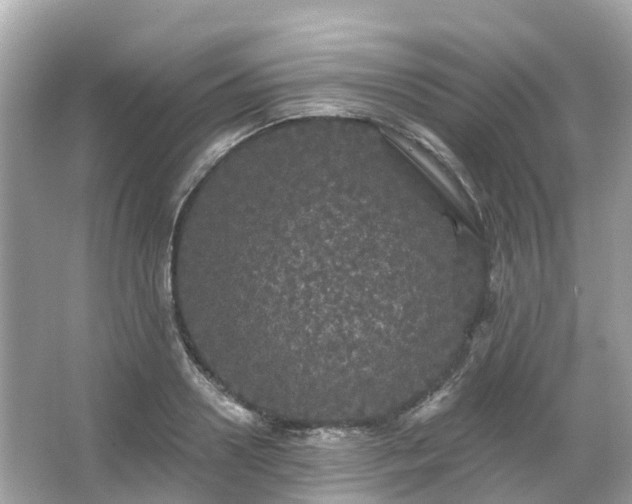 X0000066090938200603131200