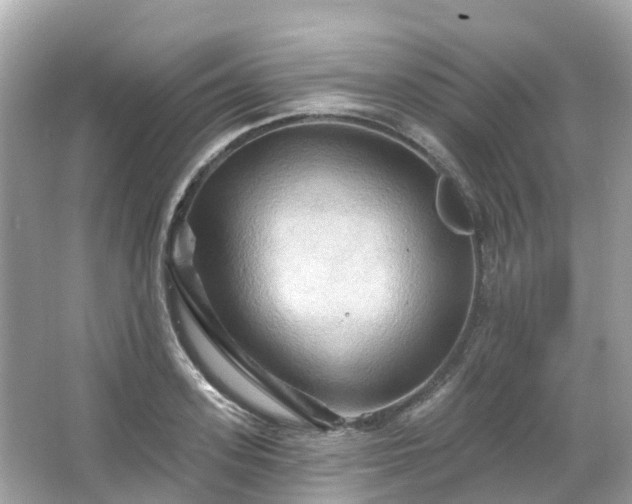 X0000066090939200603131200