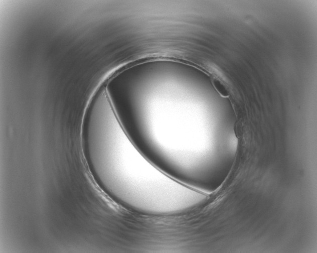 X0000066090940200603131200