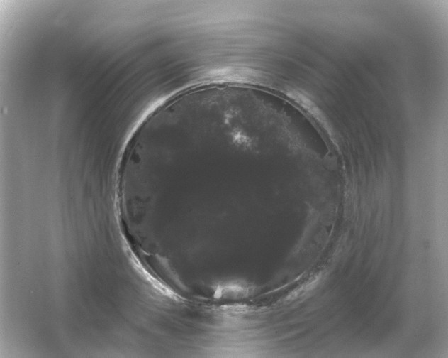 X0000066090941200603131200