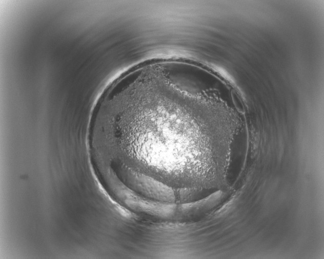 X0000066090943200603131200