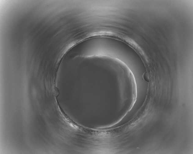 X0000066090945200603131200