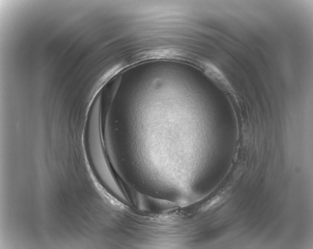 X0000066090946200603131200