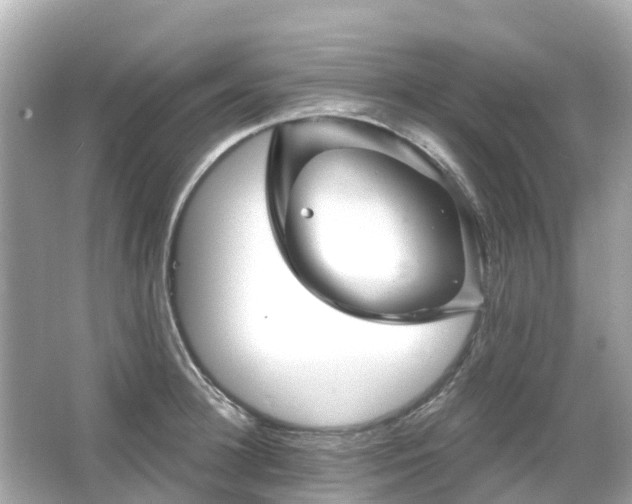 X0000066090948200603131200