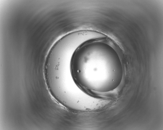 X0000066090950200603131200