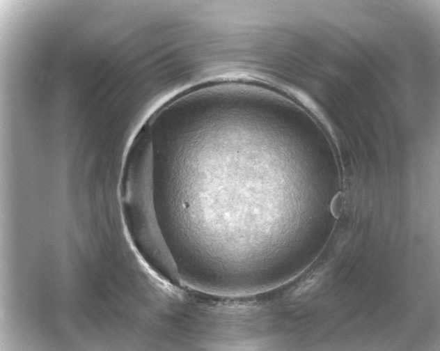 X0000066090951200603131200