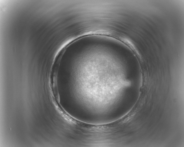 X0000066090952200603131200