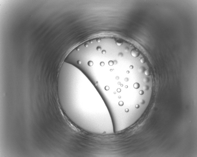 X0000066090953200603131200