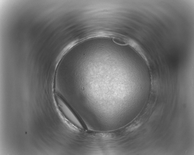 X0000066090954200603131200