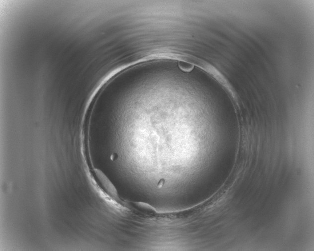 X0000066090955200603131200