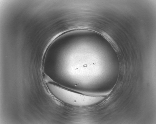 X0000066090956200603131200