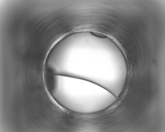 X0000066090957200603131200