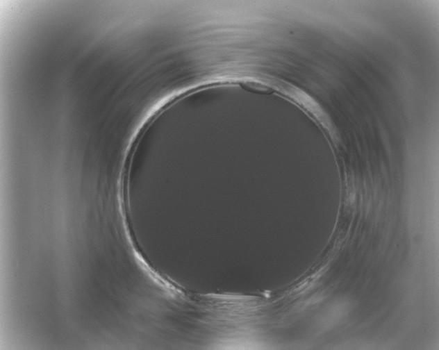 X0000066090958200603131200